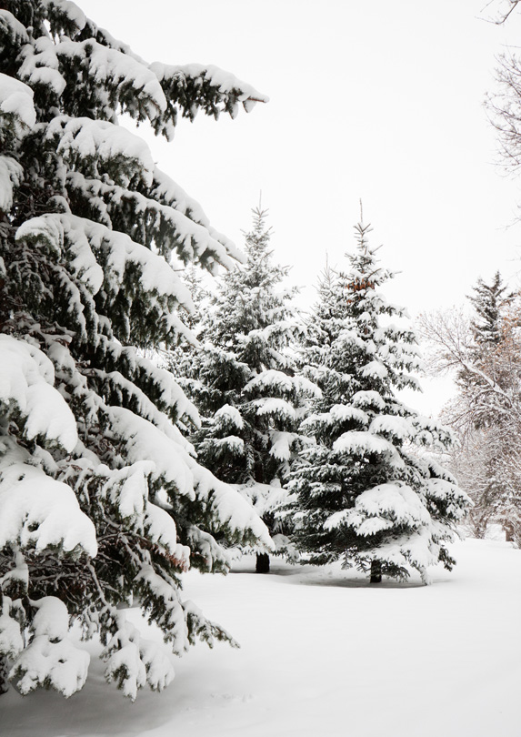 The 10 Canadian Cities with the Worst Winters - Slice