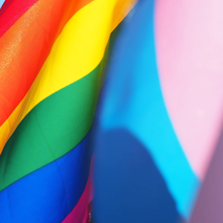 LGBTQ+ and trans flag