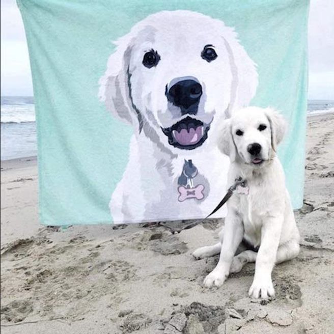 15 of the Best Customized Gifts for Dog Lovers - Slice