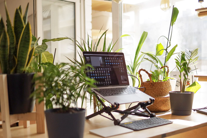 Beautiful plants around a laptop at a work from home station