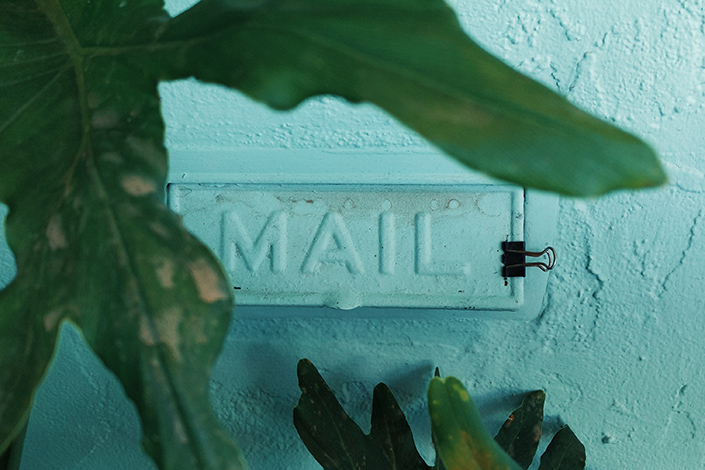 Teal mail sign behind some tropical green foliage