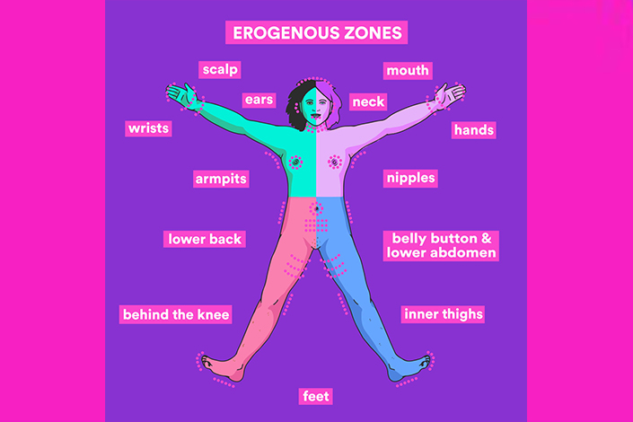 Illustration of erogenous zones