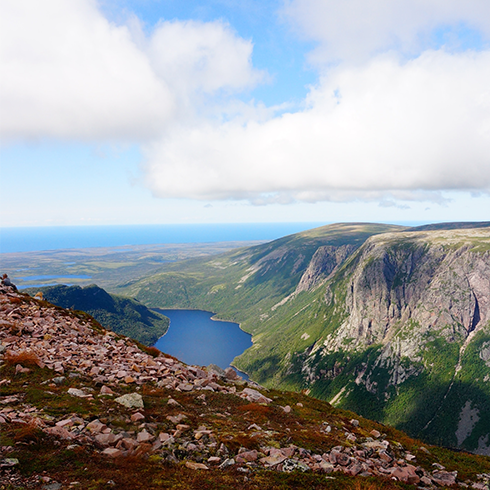 View at Gros Morne