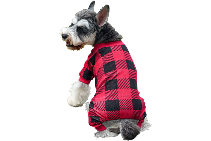A grey dog wearing a red-and-black buffalo-plaid PJ outfit.
