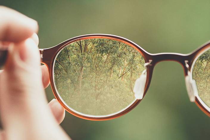 Person holding glasses and the lenses bringing the forest beyond into clear view