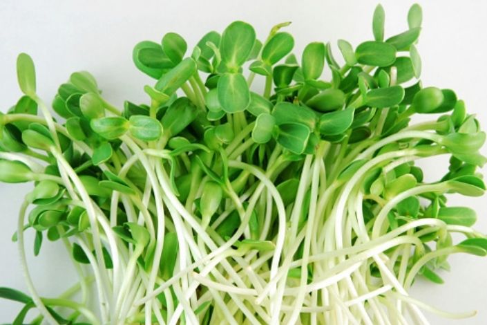 leafy green sprouts