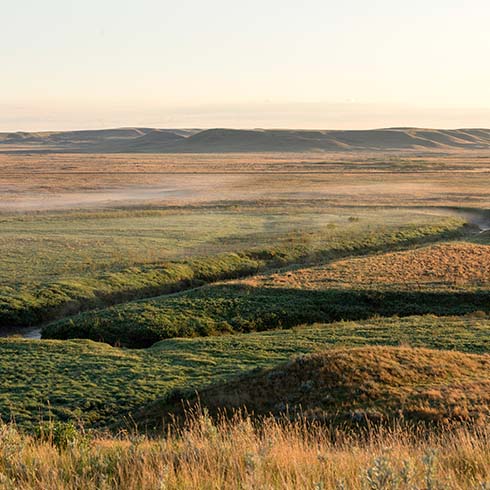 A river valley at first light in Grasslands National Park, Saskatchewan, Canada.