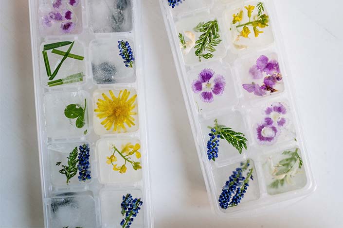 assorted flowers and herbs in ice cube trays