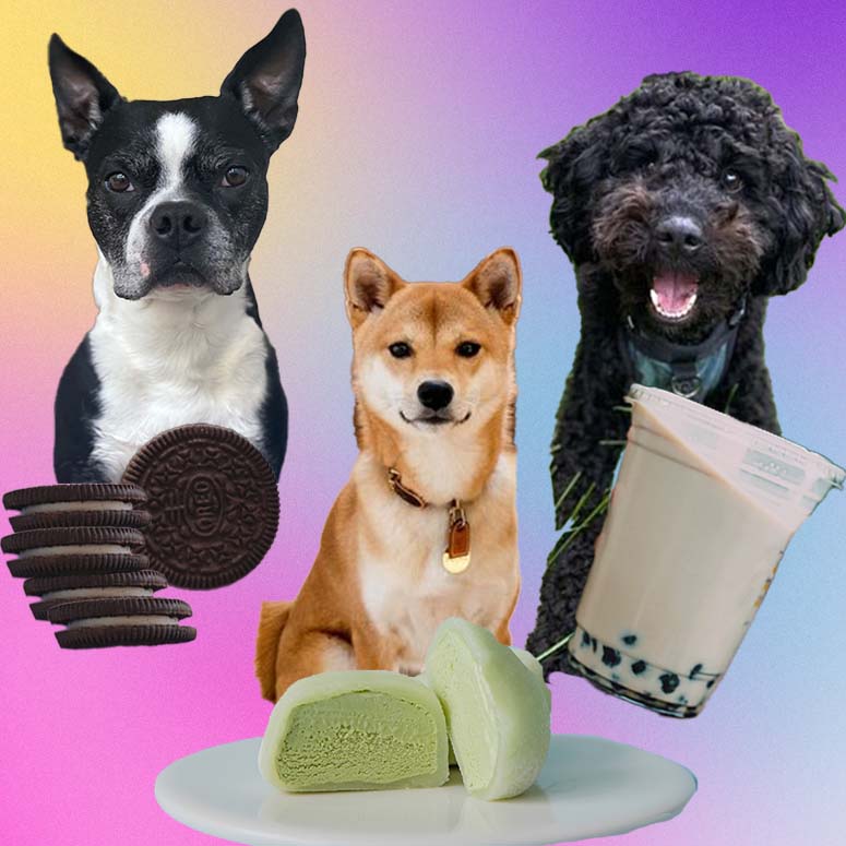 Three dogs with Oreos, mochi and Boba