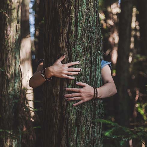 A person hugging a tree