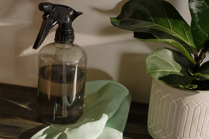 A spray bottle, green cleaning gloves and a plant