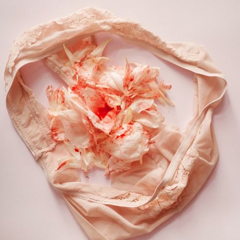 Blush coloured underwear with a pink and red flower in the middle