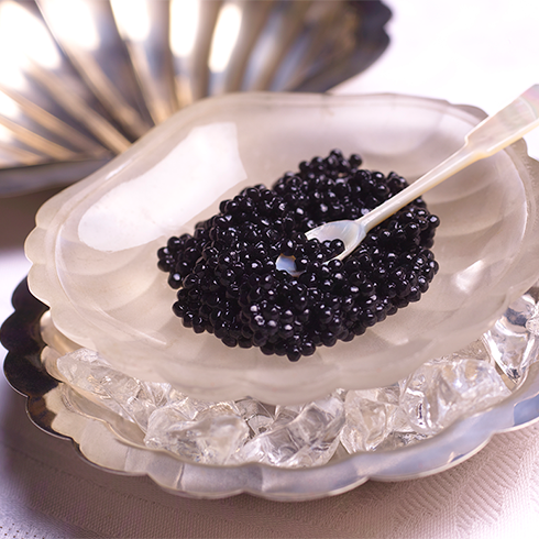 Black caviar in an oyster shell-shaped bowl