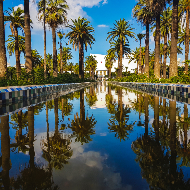 Reflection Of Trees In Water In The Arab League Park In Casablanca Morocco - stock photo